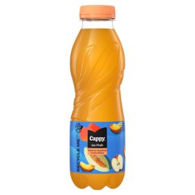 Cappy ice fruit 0,5l őszi-sárgadinnye DRS