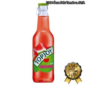 Topjoy 0,25l alma-görögdinnye DRS